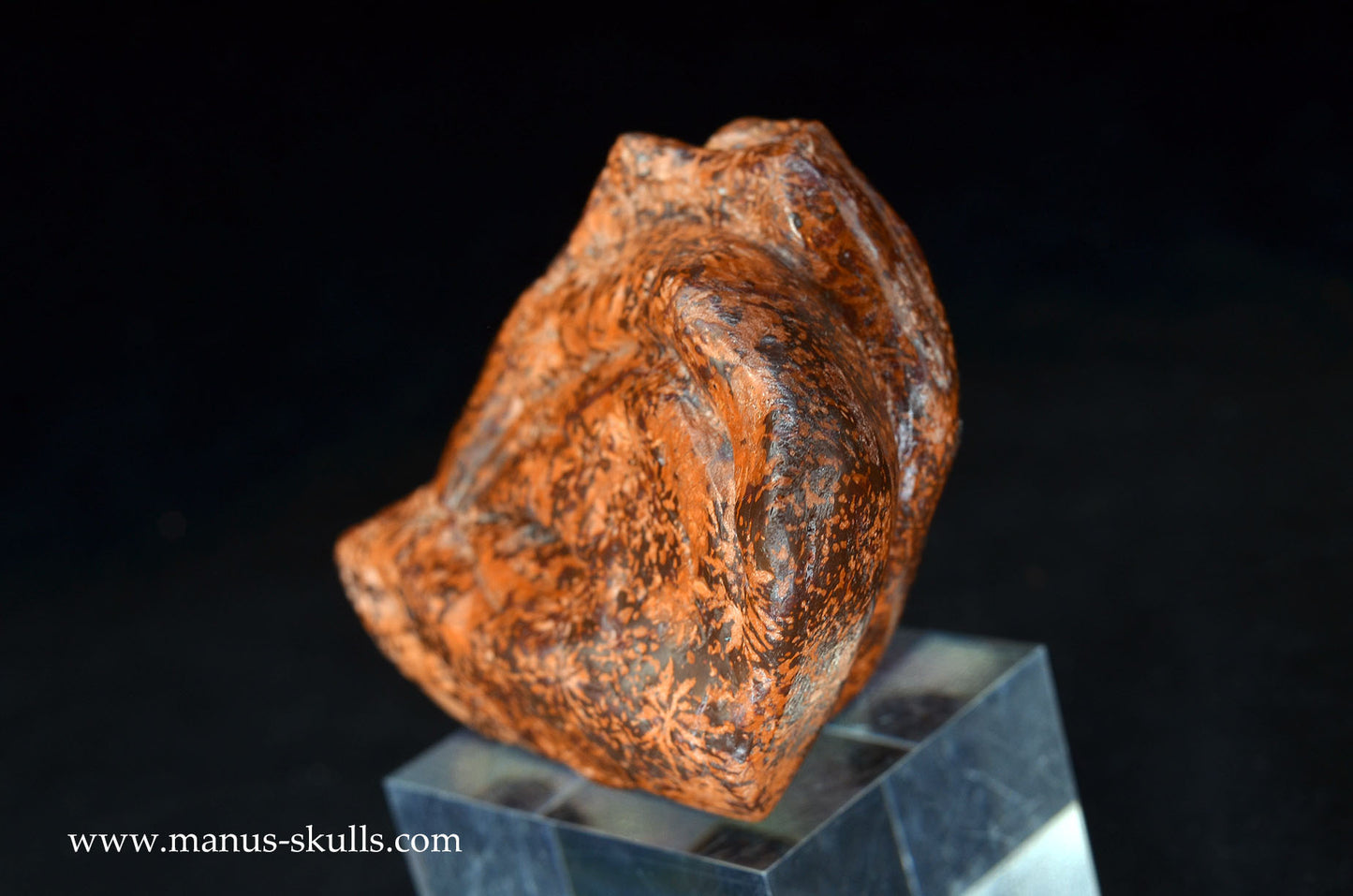 Star Rhyolite Jasper Dragon