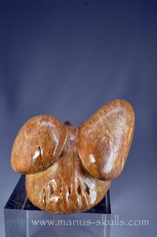 Manus skulls Evolians Dragolians unique Crystal Carvings handmade skulls dragons pendants preseli bluestone tribals spiritual meaning wand Unicorn .. 
