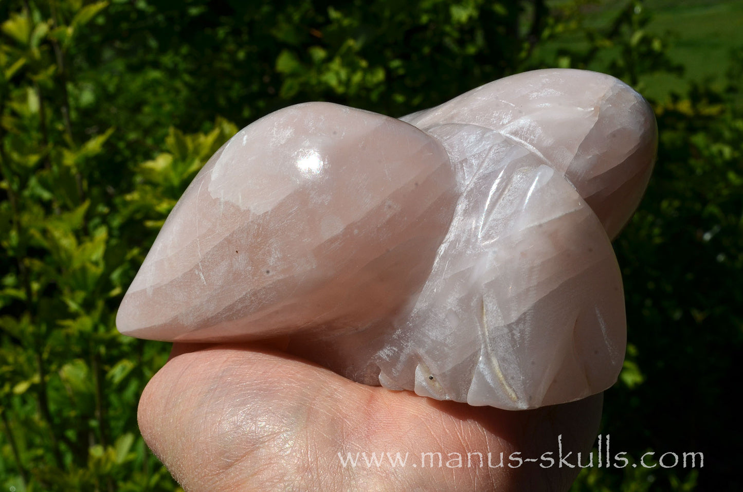 Pink Steatite Dragolian #08