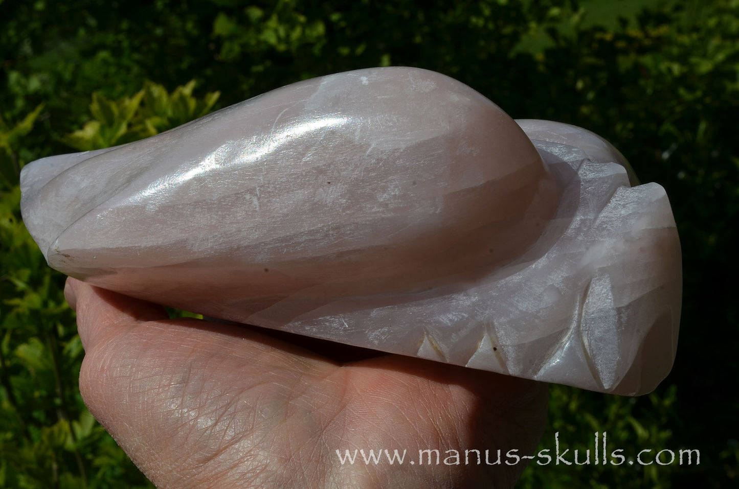 Pink Steatite Dragolian #08