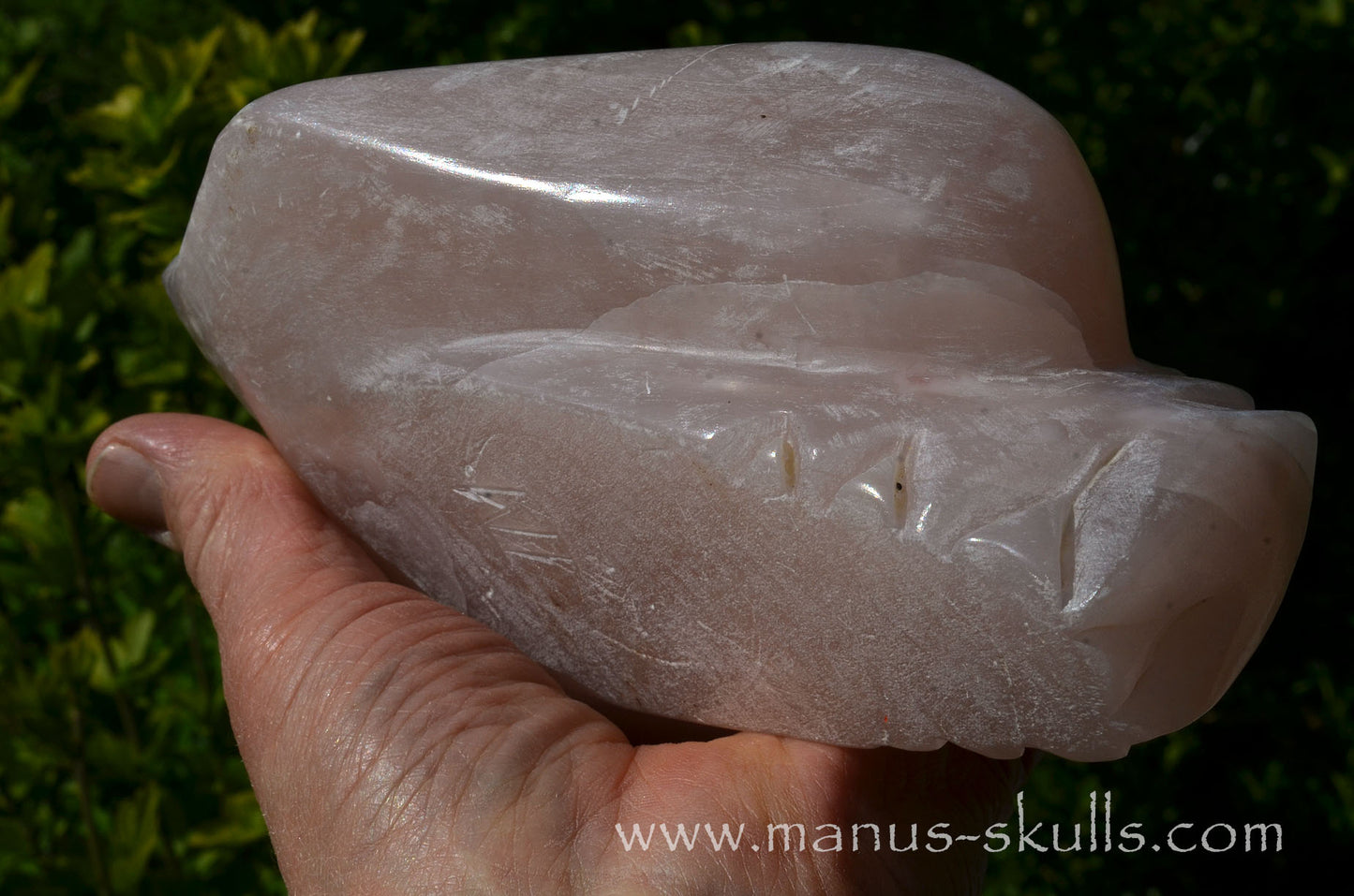 Pink Steatite Dragolian #08
