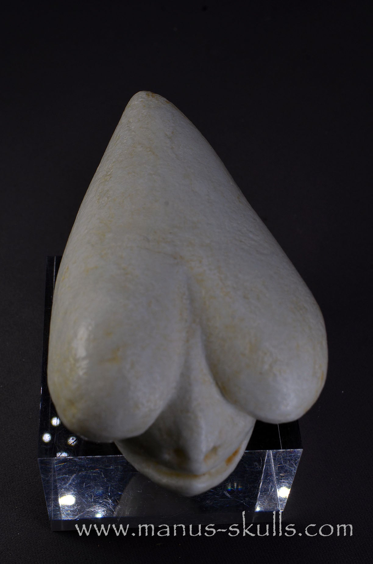 White Steatite Dragolian #10