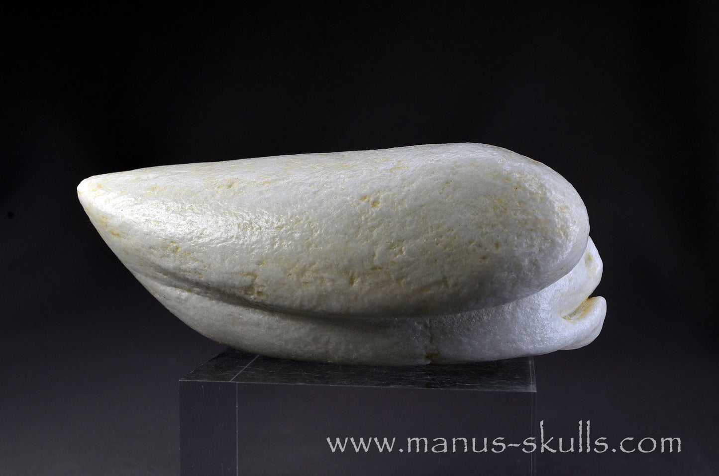 White Steatite Dragolian #10