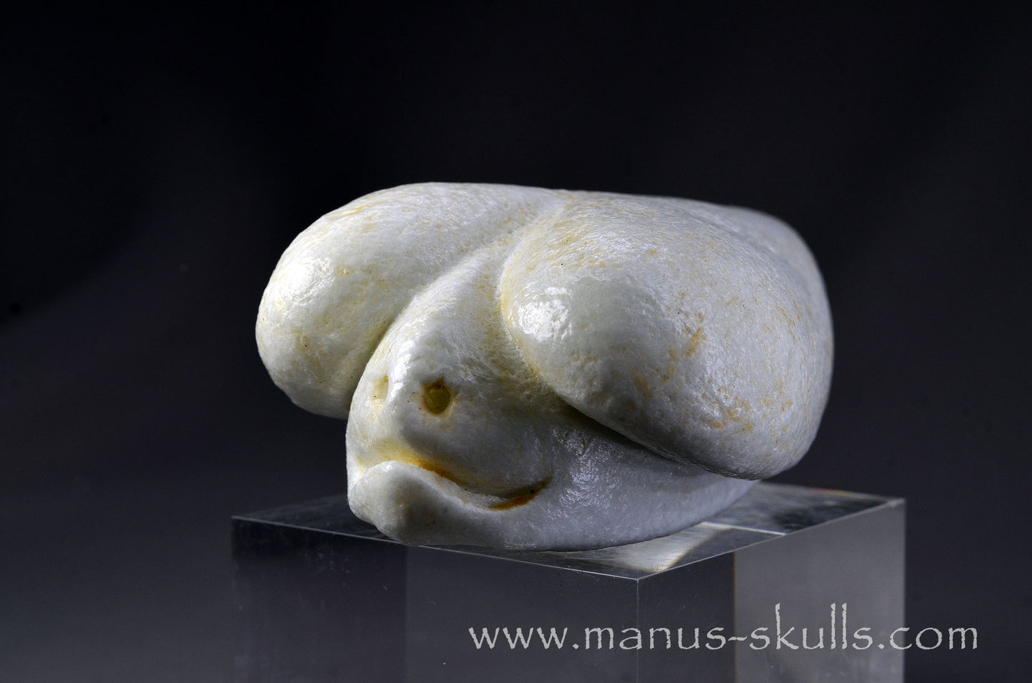 White Steatite Dragolian #10