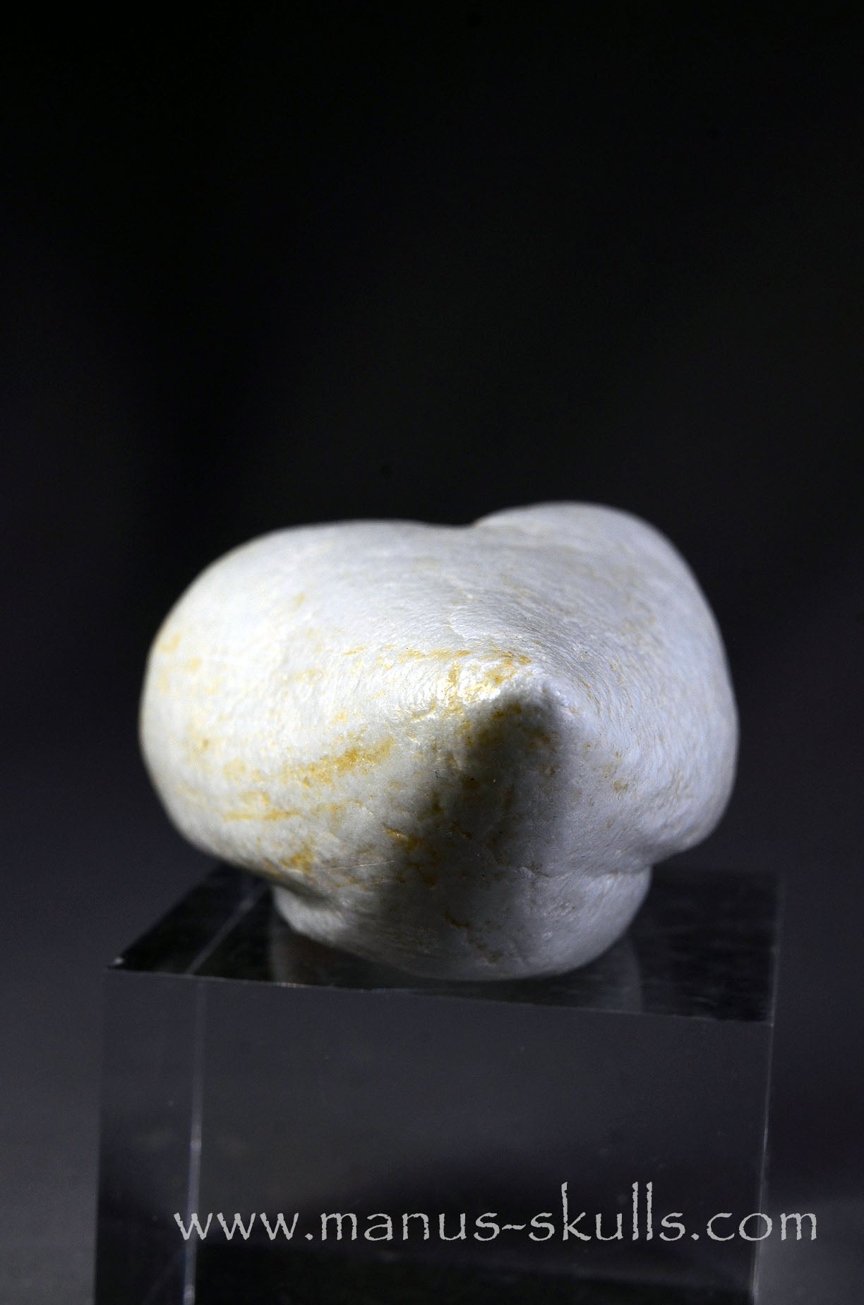 White Steatite Dragolian #10