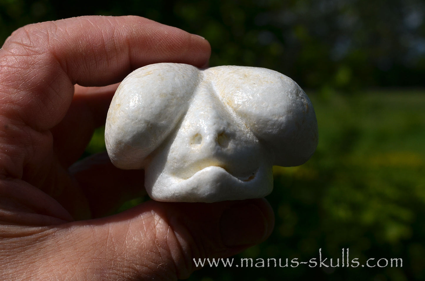 White Steatite Dragolian #10