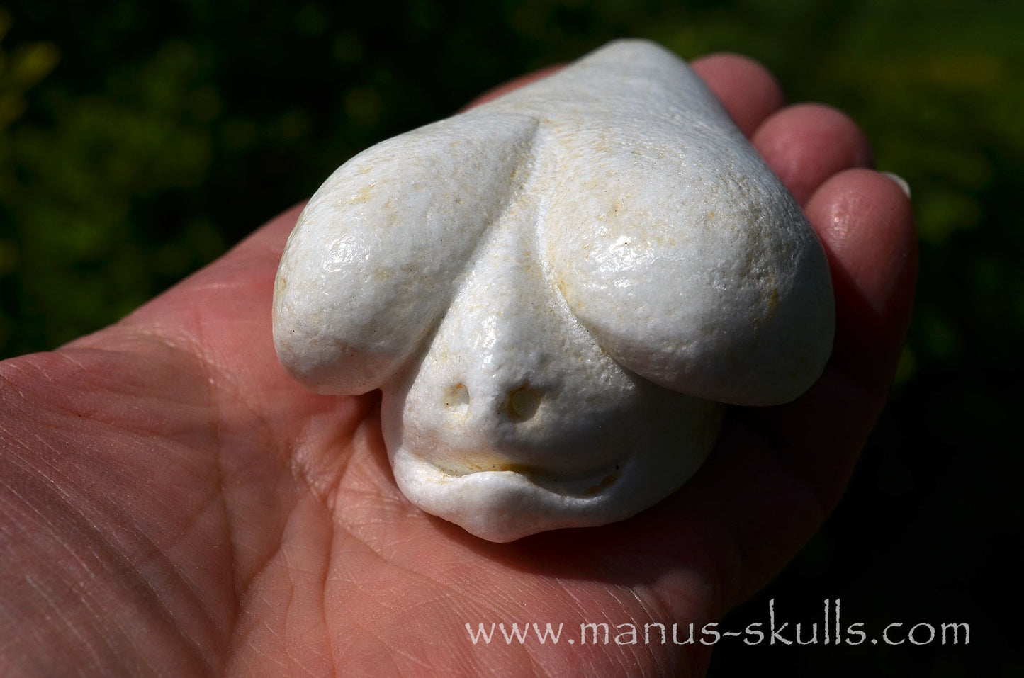 White Steatite Dragolian #10