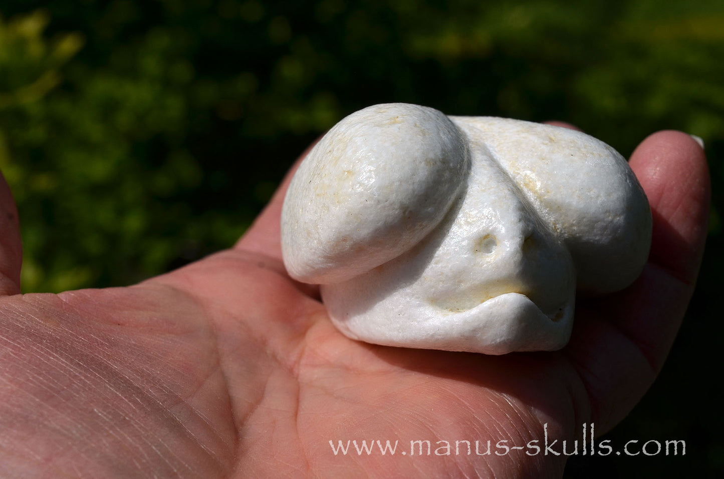 White Steatite Dragolian #10