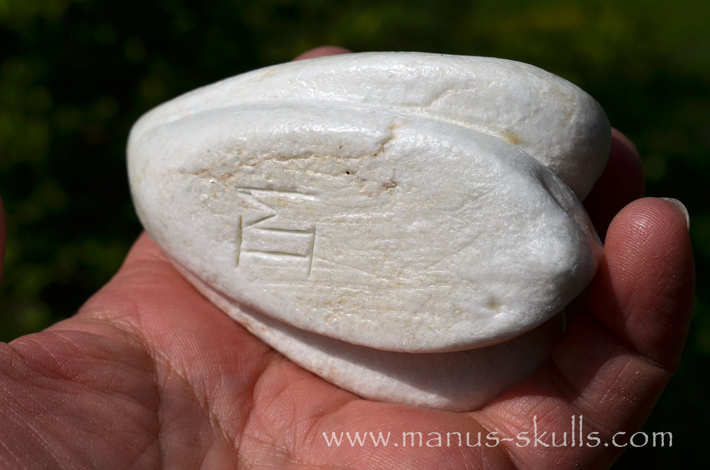 White Steatite Dragolian #10