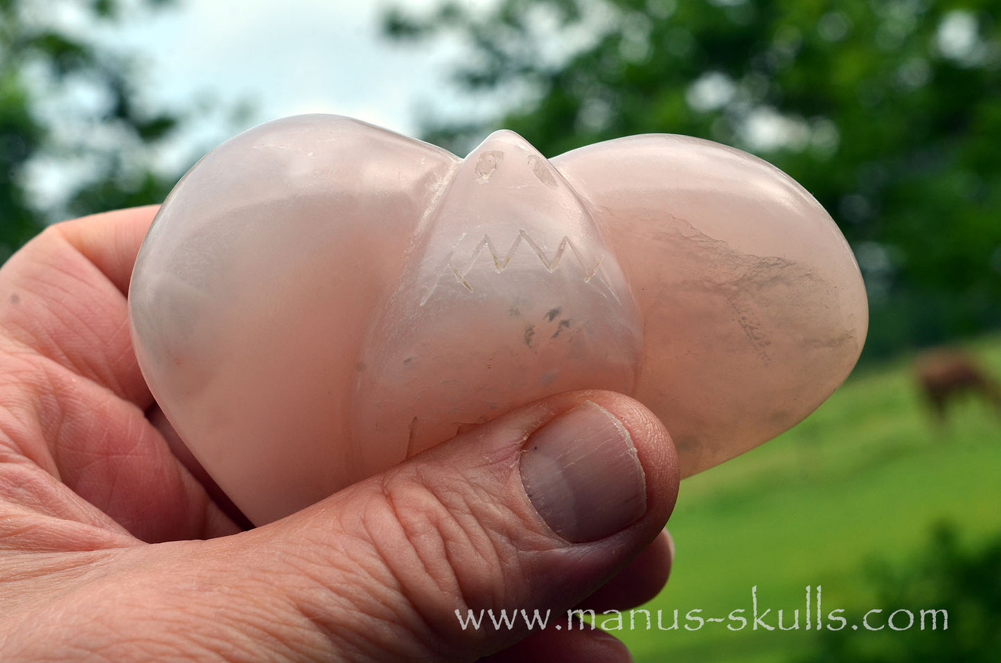Pink Steatite Dragolian #14