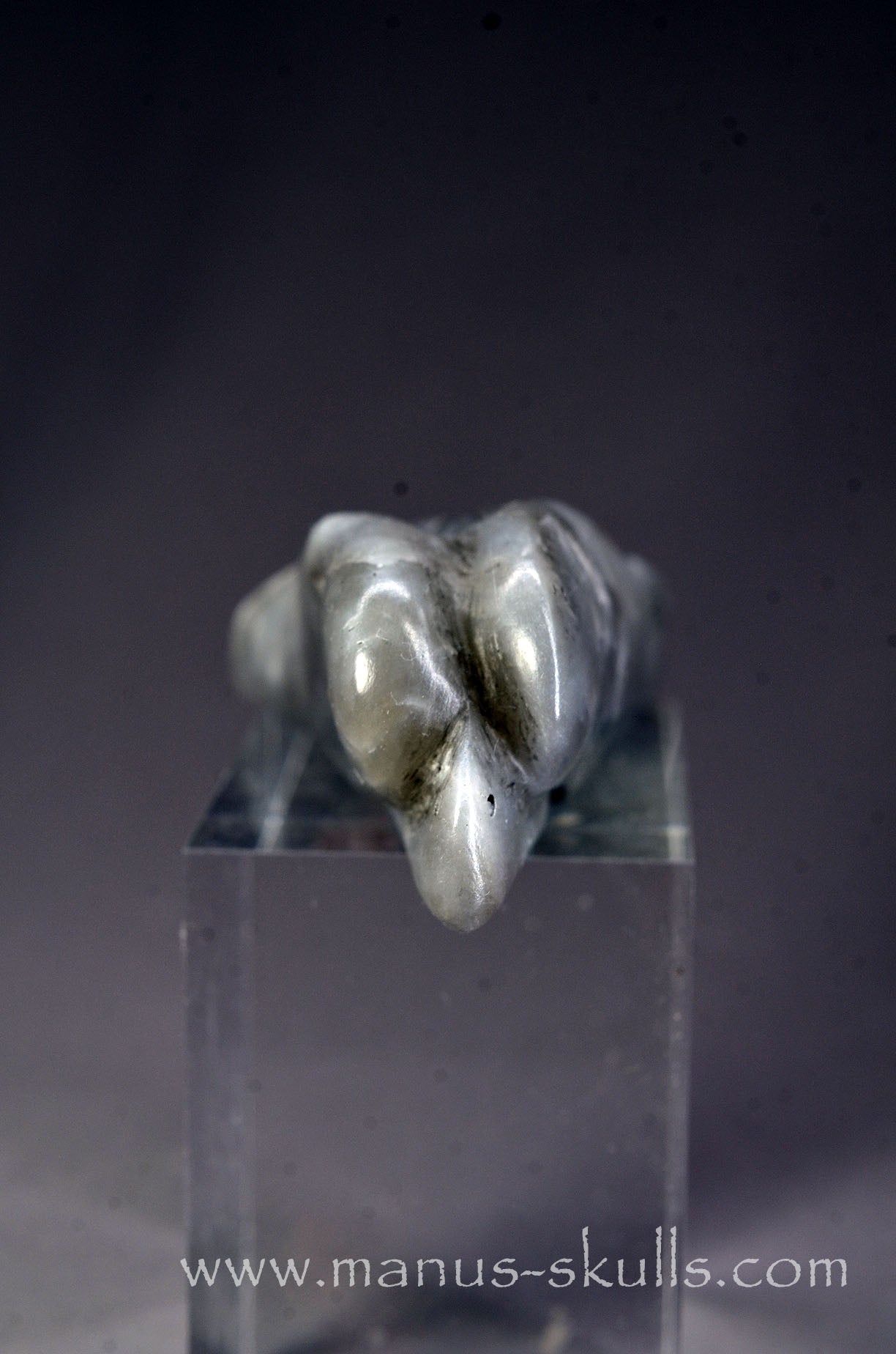 Black Steatite Dragolian #15