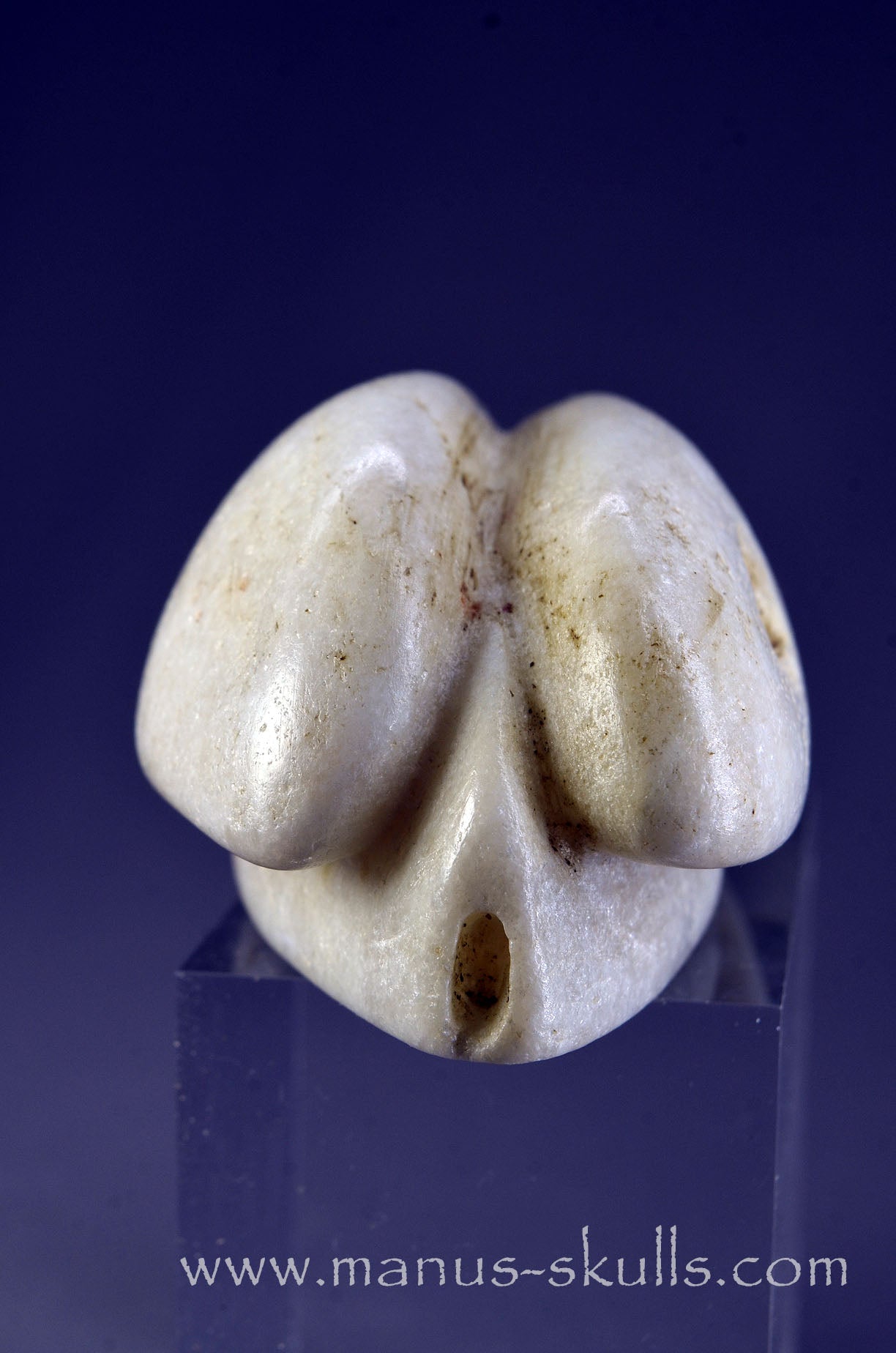 White Steatite Dragolian #16