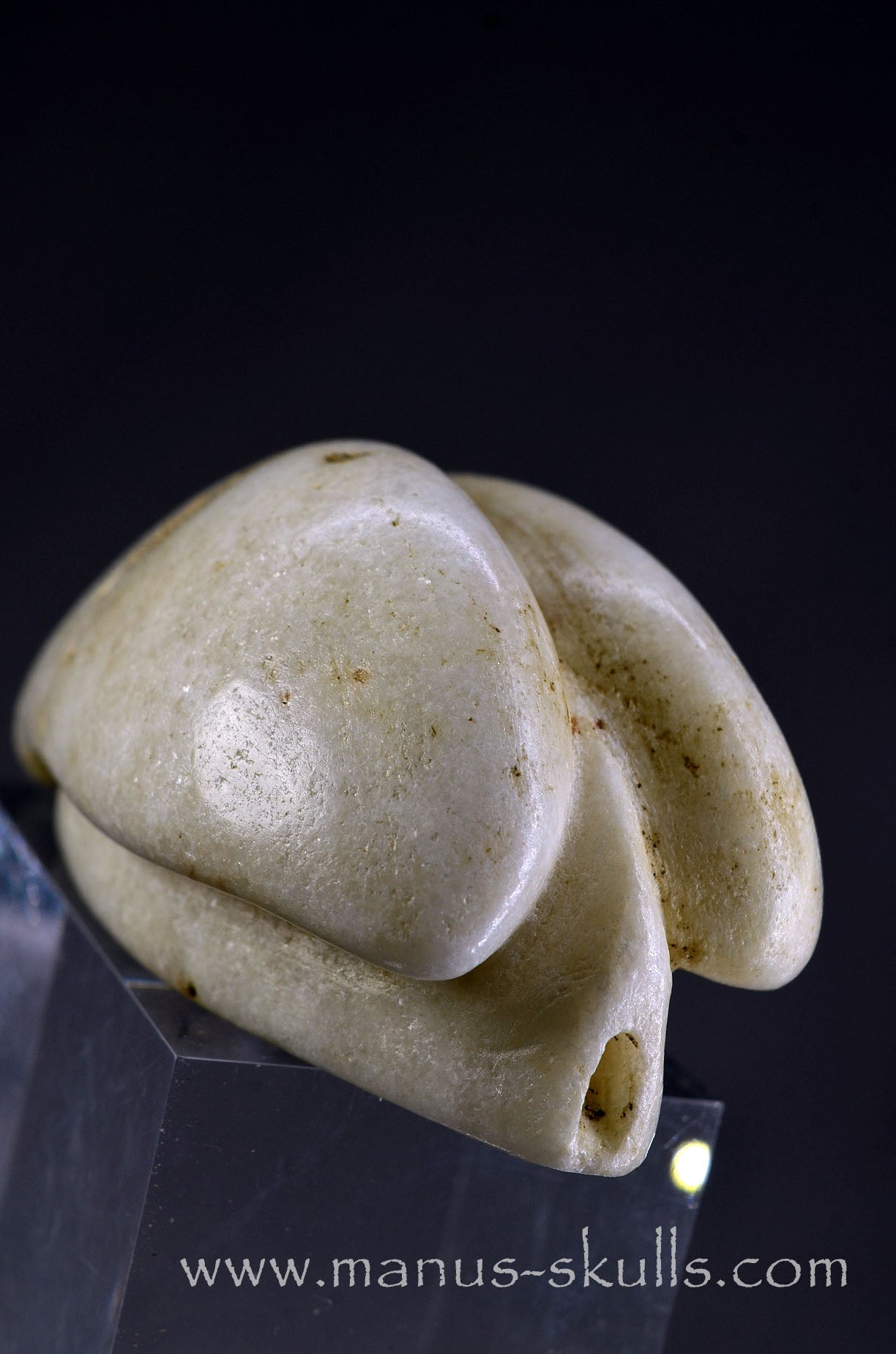 White Steatite Dragolian #16