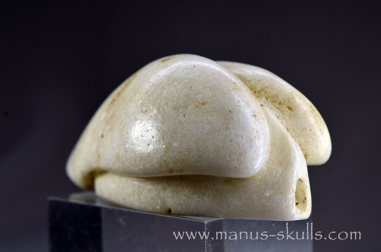 White Steatite Dragolian #16