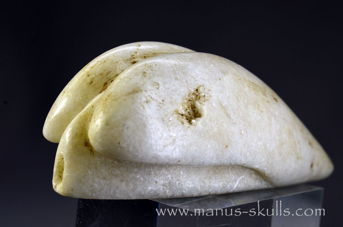 White Steatite Dragolian #16