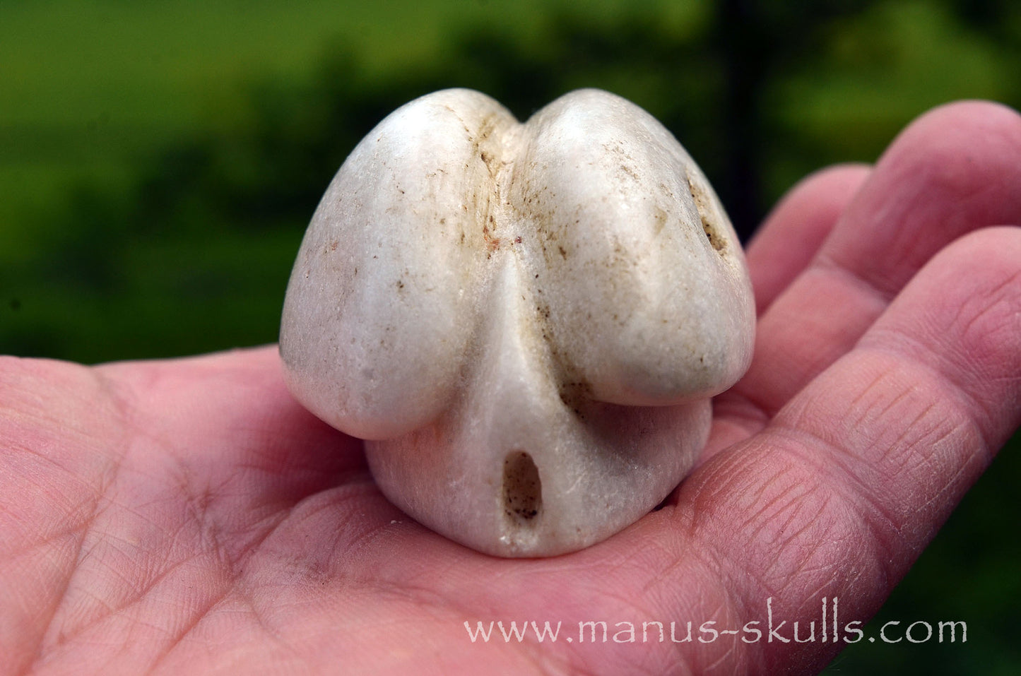 White Steatite Dragolian #16