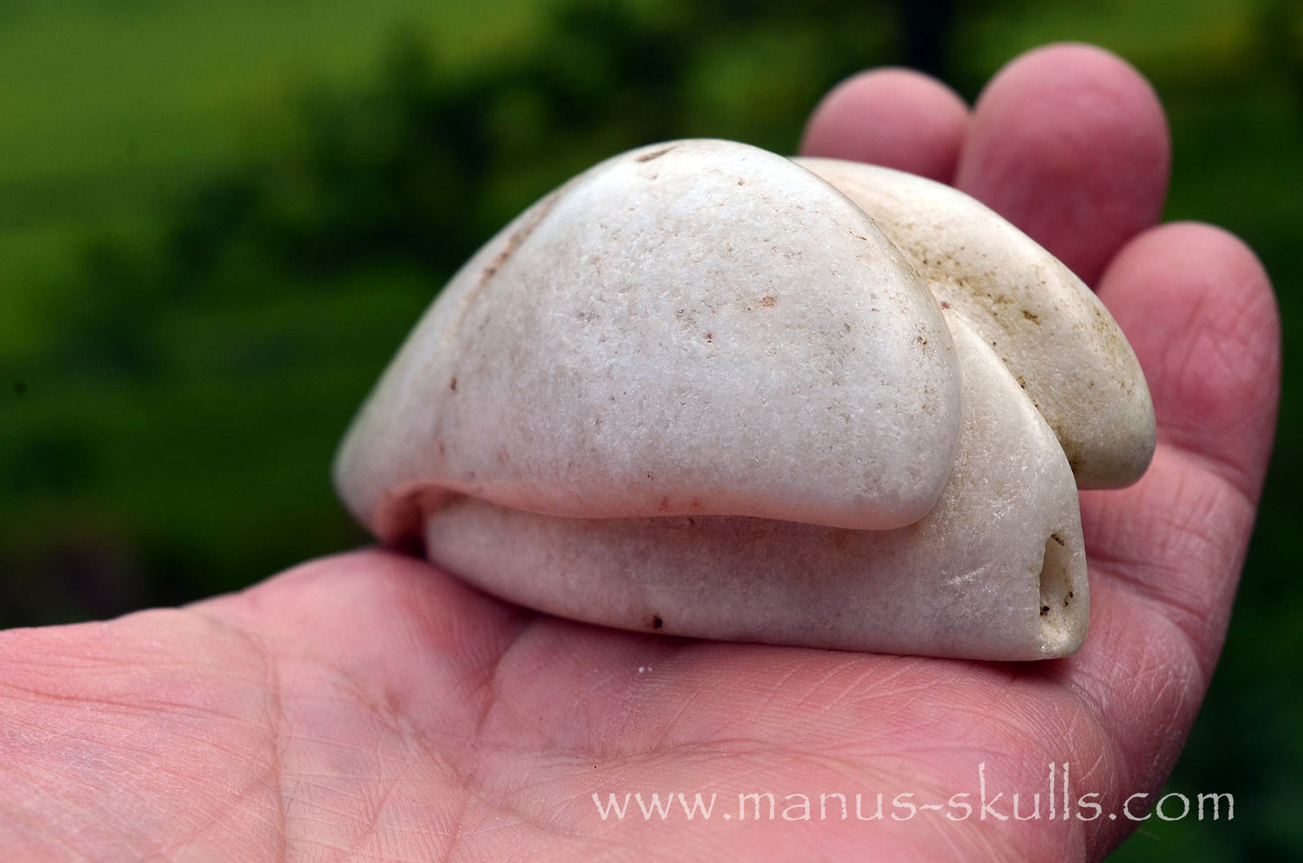 White Steatite Dragolian #16