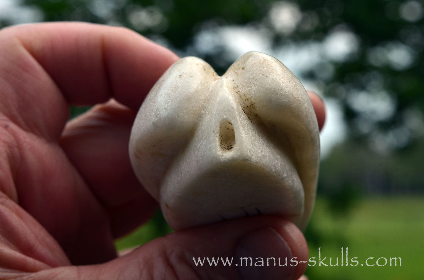 White Steatite Dragolian #16