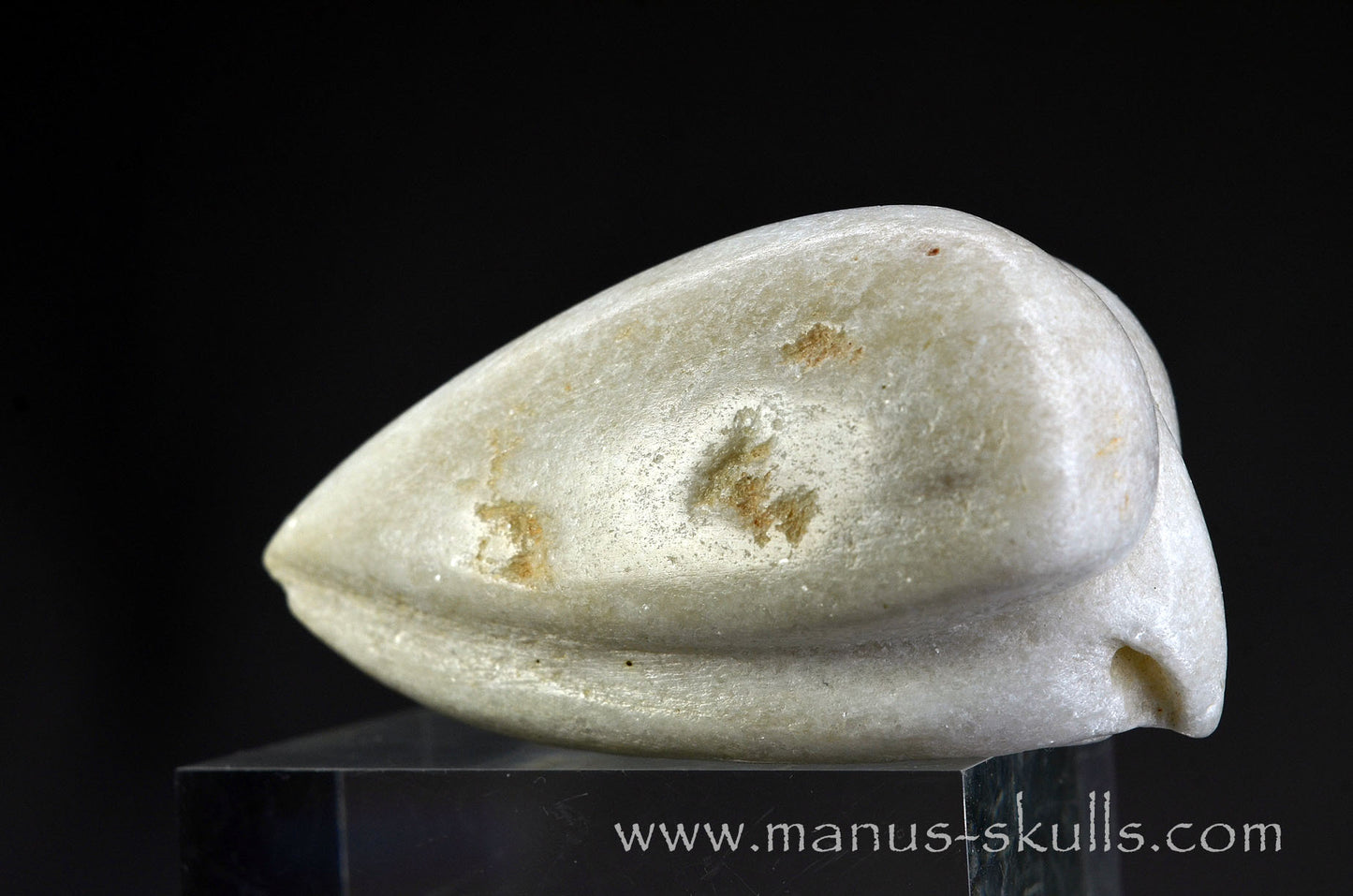 White Steatite Dragolian #17