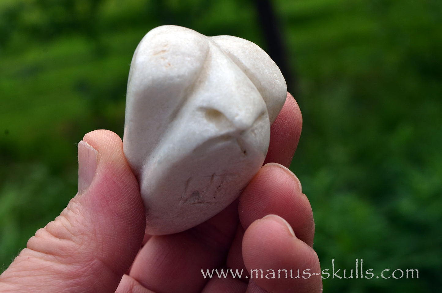 White Steatite Dragolian #17