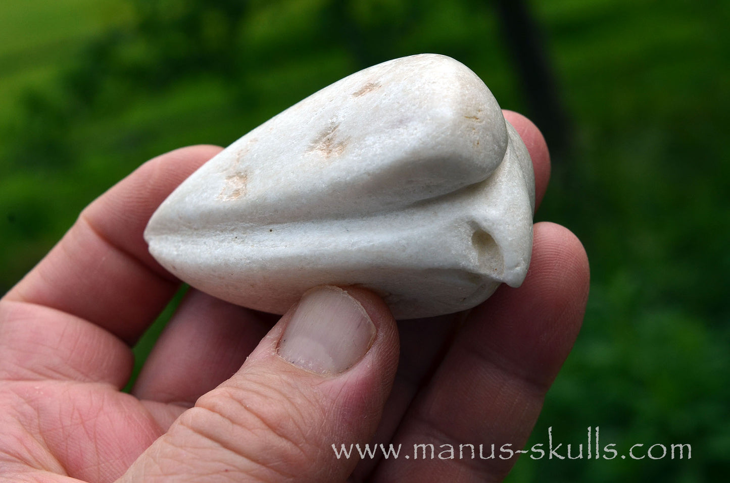 White Steatite Dragolian #17