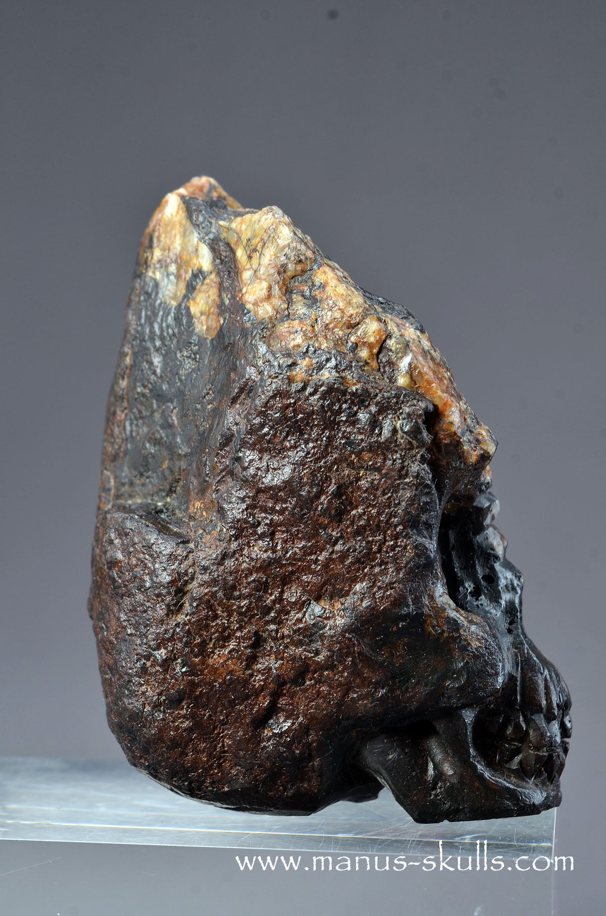 Tsesite Conehead Skull