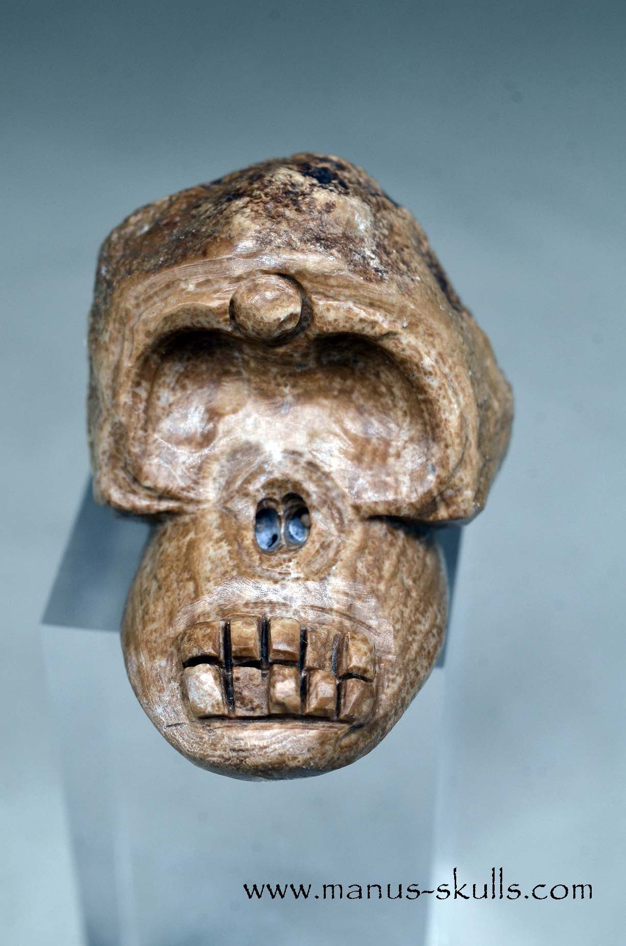 Evolian Manus SKULL