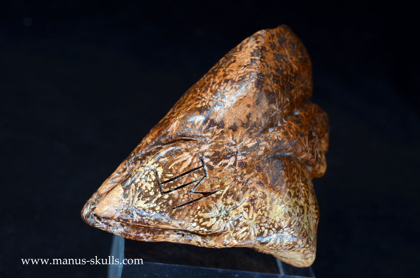 Star Rhyolite Jasper Dragon