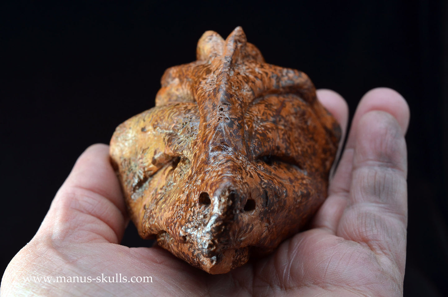 Star Rhyolite Jasper Dragon
