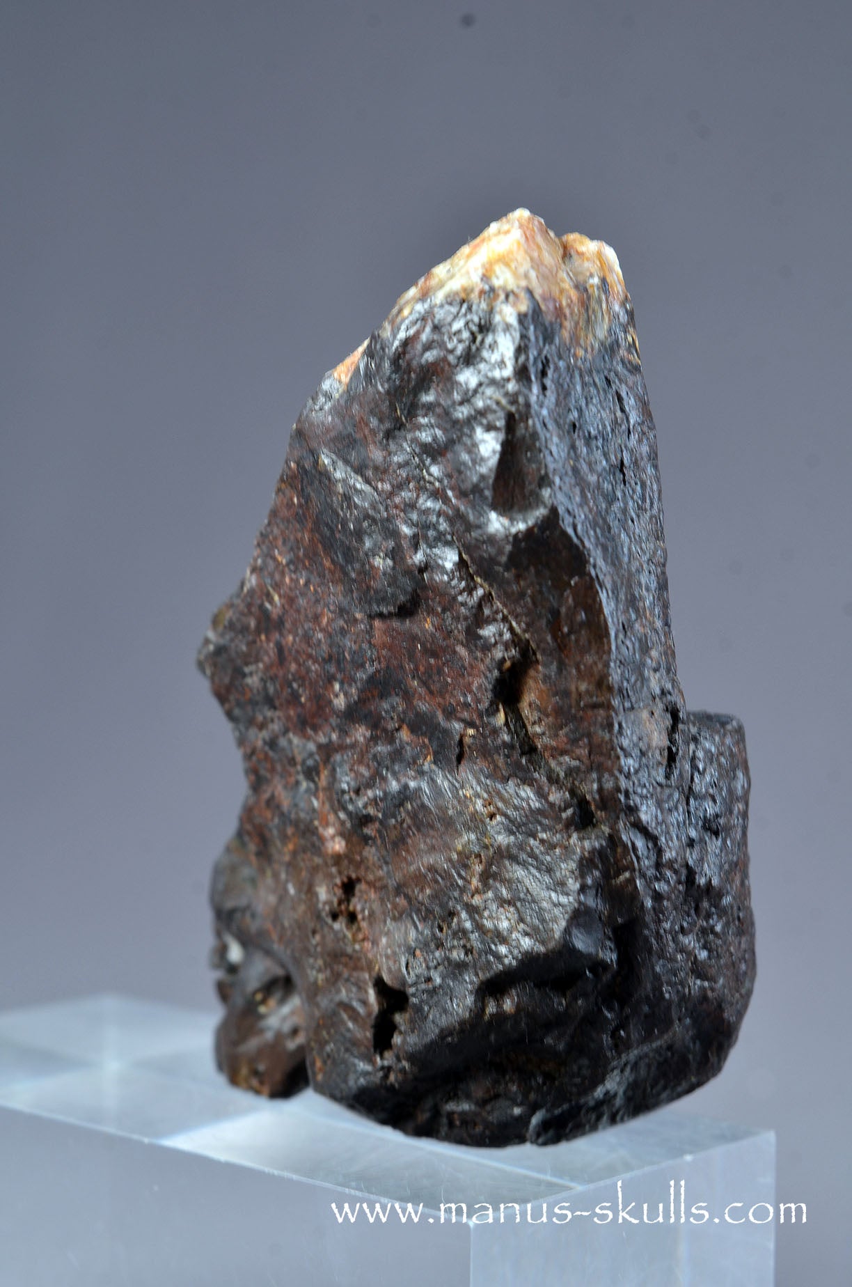Tsesite Conehead Skull