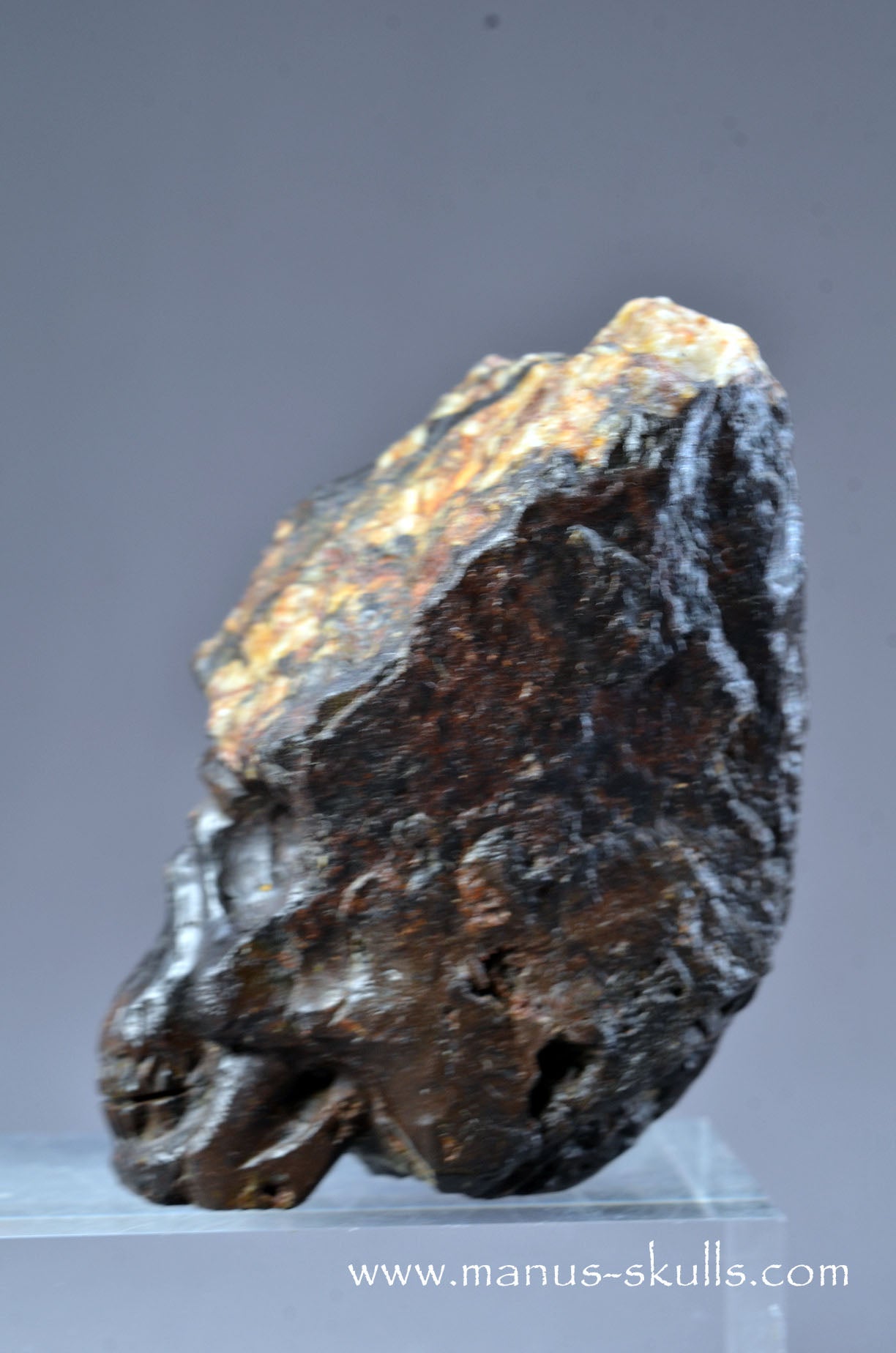 Tsesite Conehead Skull