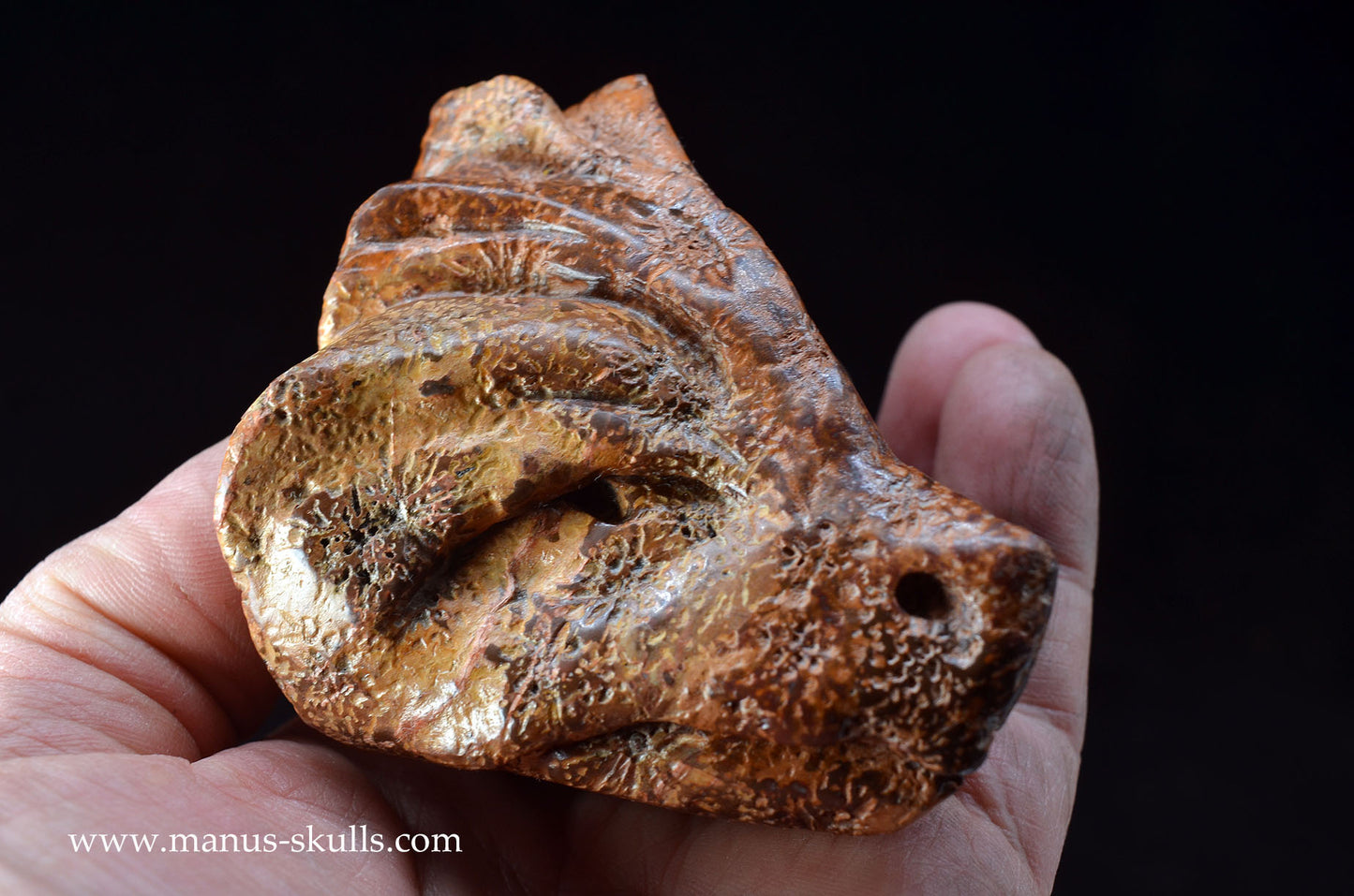 Star Rhyolite Jasper Dragon