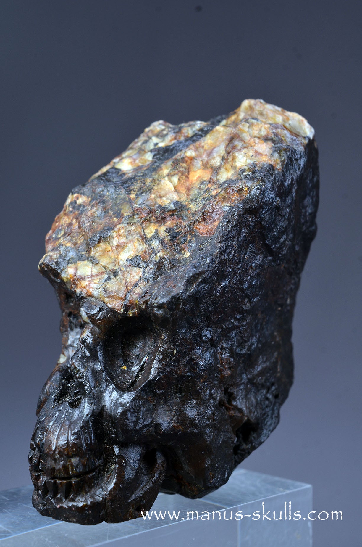 Tsesite Conehead Skull