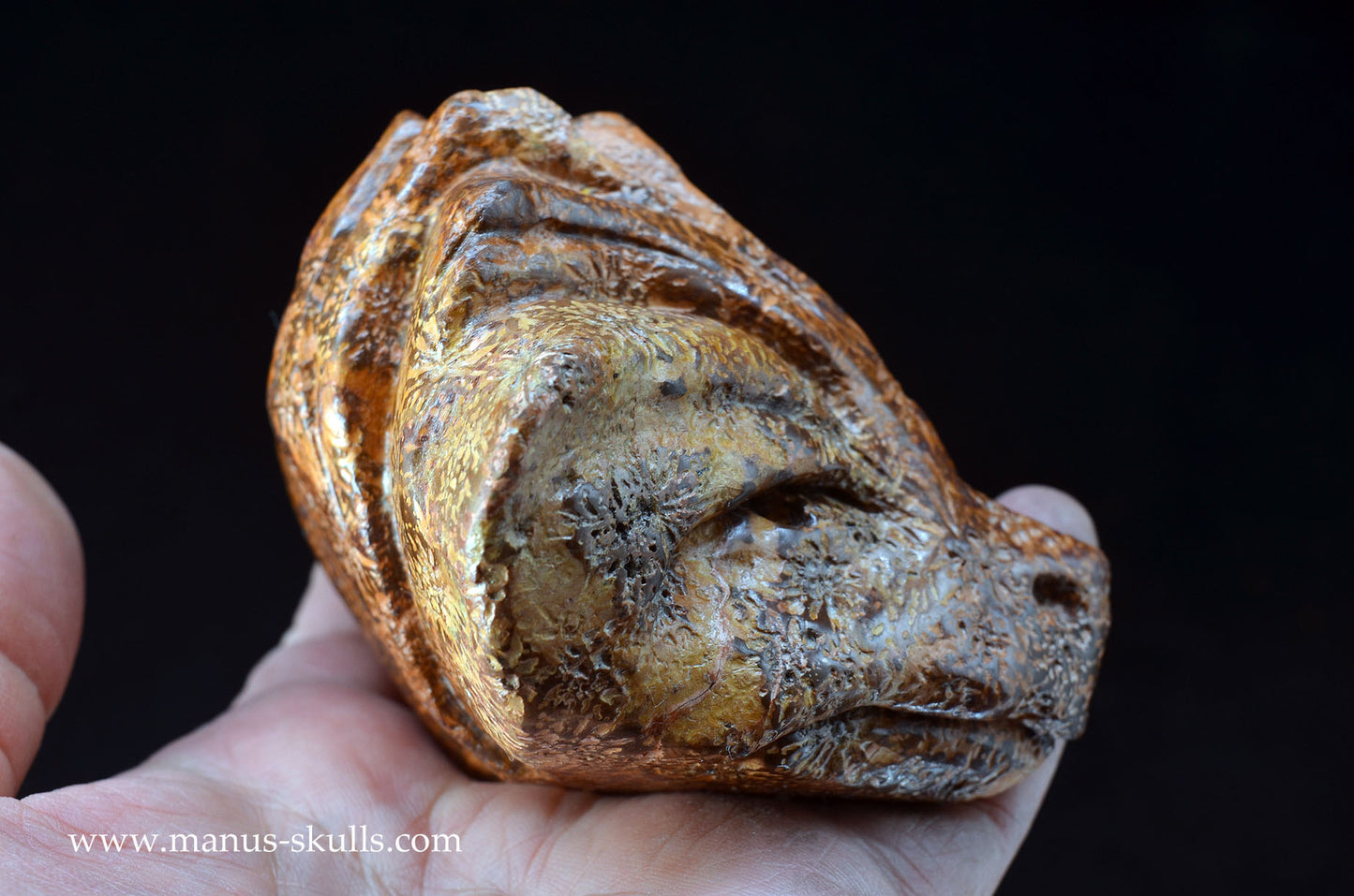 Star Rhyolite Jasper Dragon