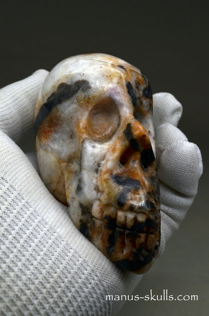 Zebra Agate Skull