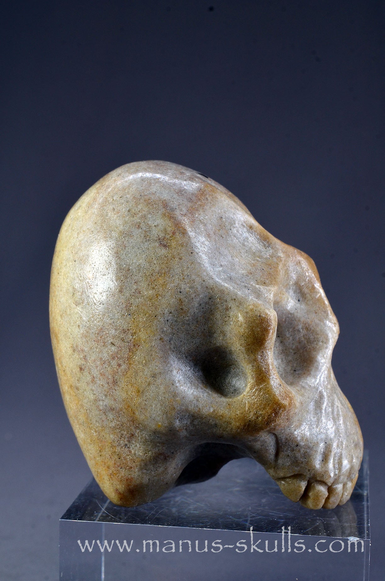 Sarsens stone Half Conehead Skull