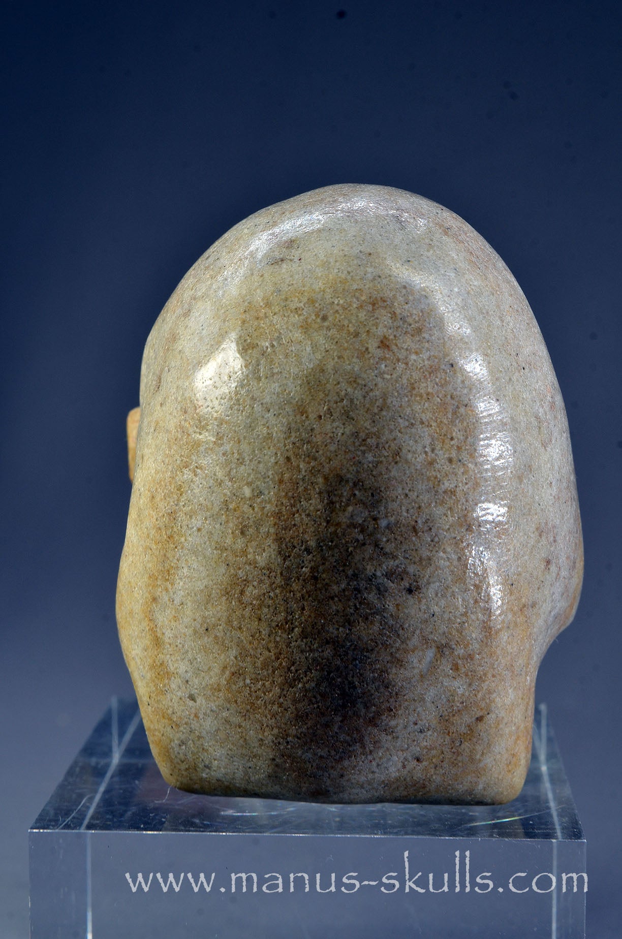 Sarsens stone Half Conehead Skull