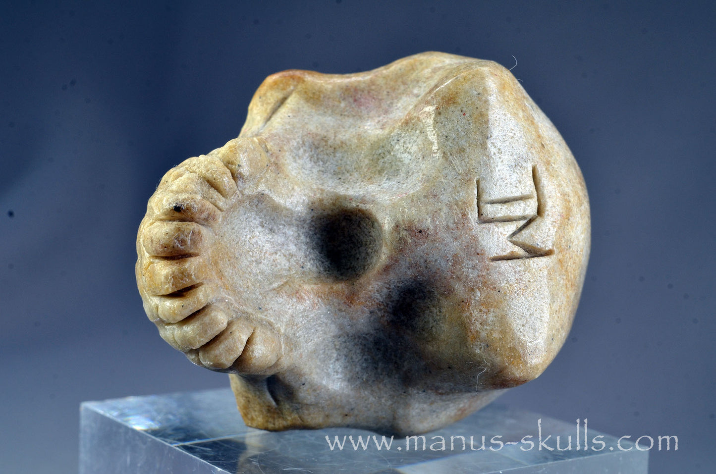 Sarsens stone Half Conehead Skull