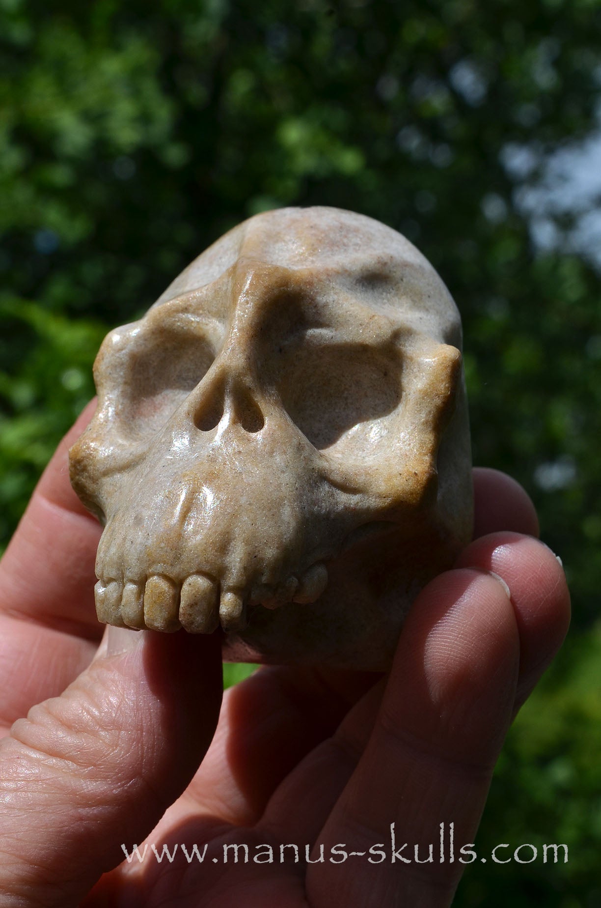 Sarsens stone Half Conehead Skull
