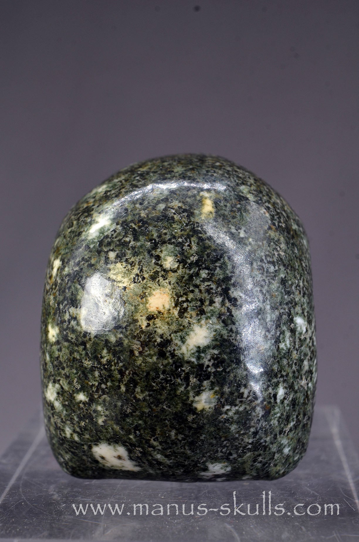 Preseli Bluestone Skull