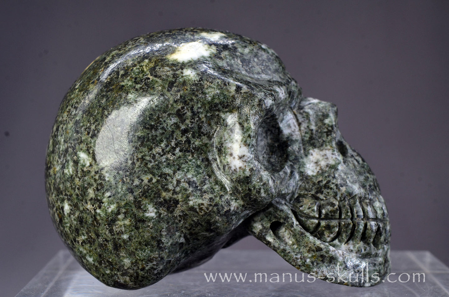 Preseli Bluestone Skull