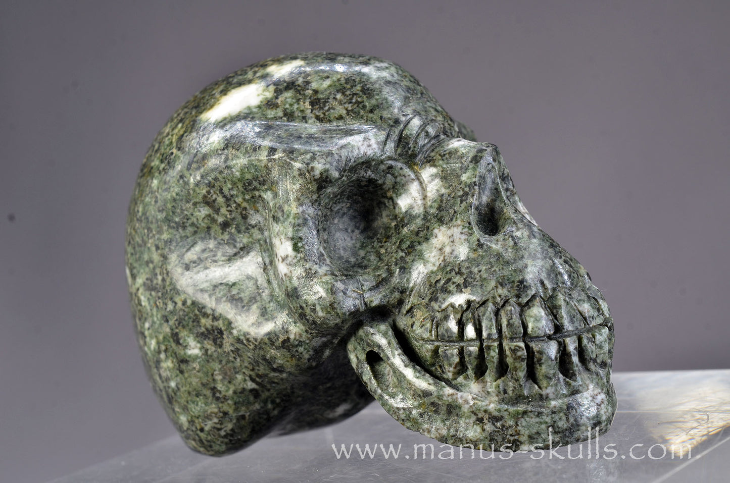 Preseli Bluestone Skull