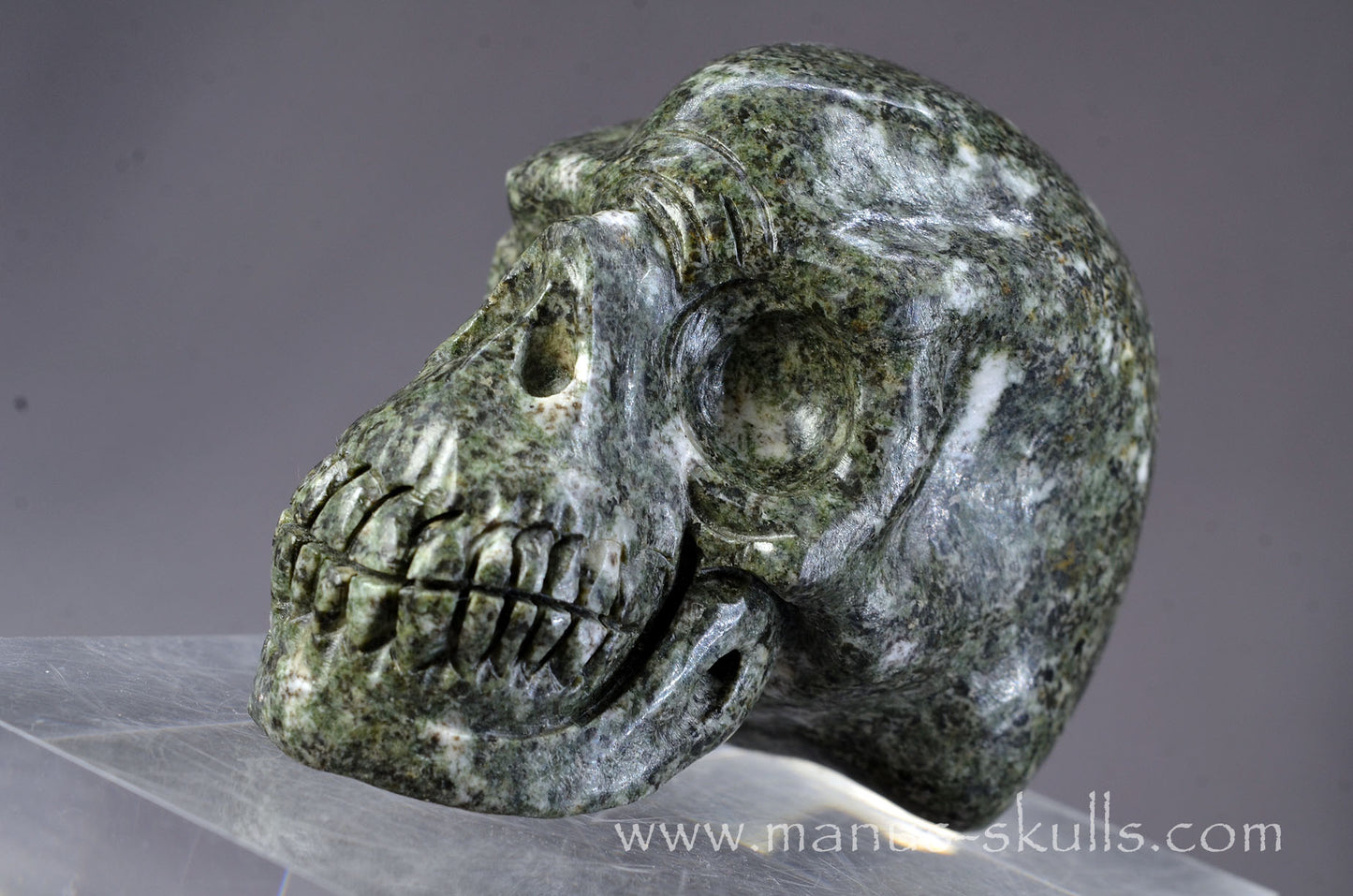Preseli Bluestone Skull