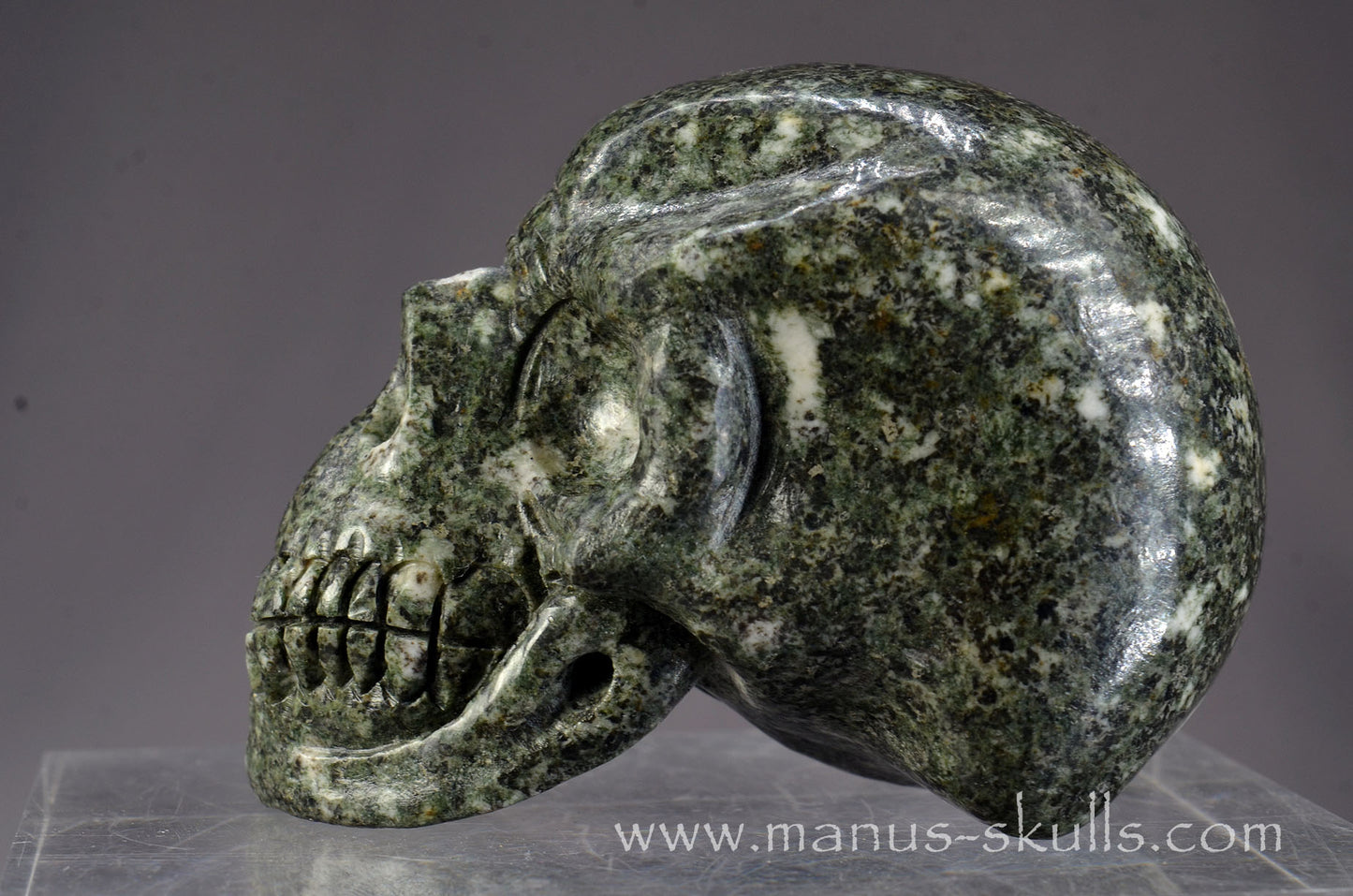 Preseli Bluestone Skull