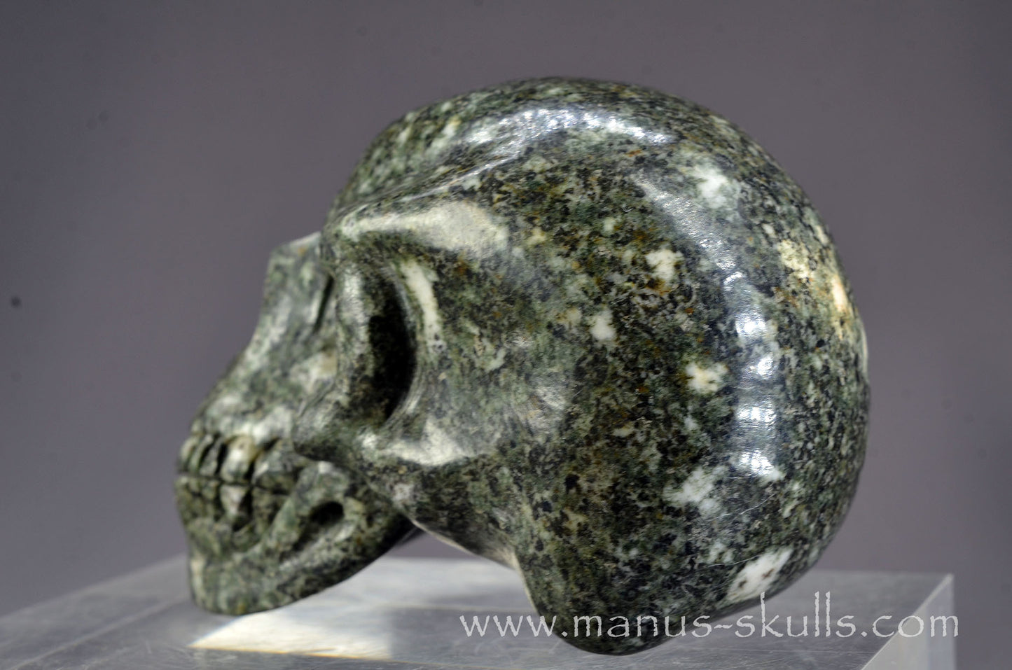 Preseli Bluestone Skull