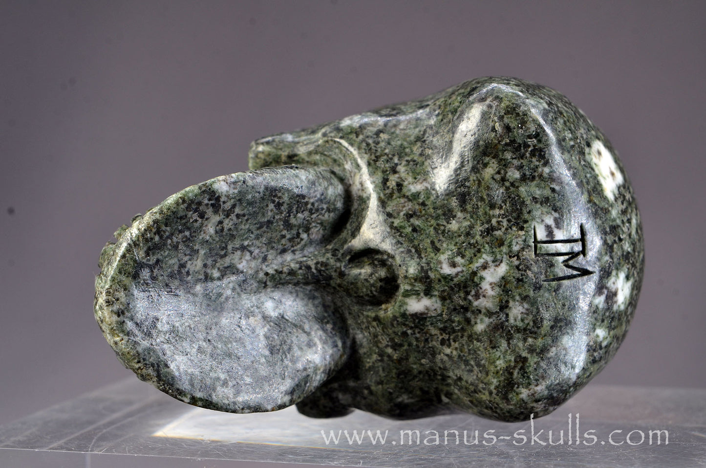 Preseli Bluestone Skull