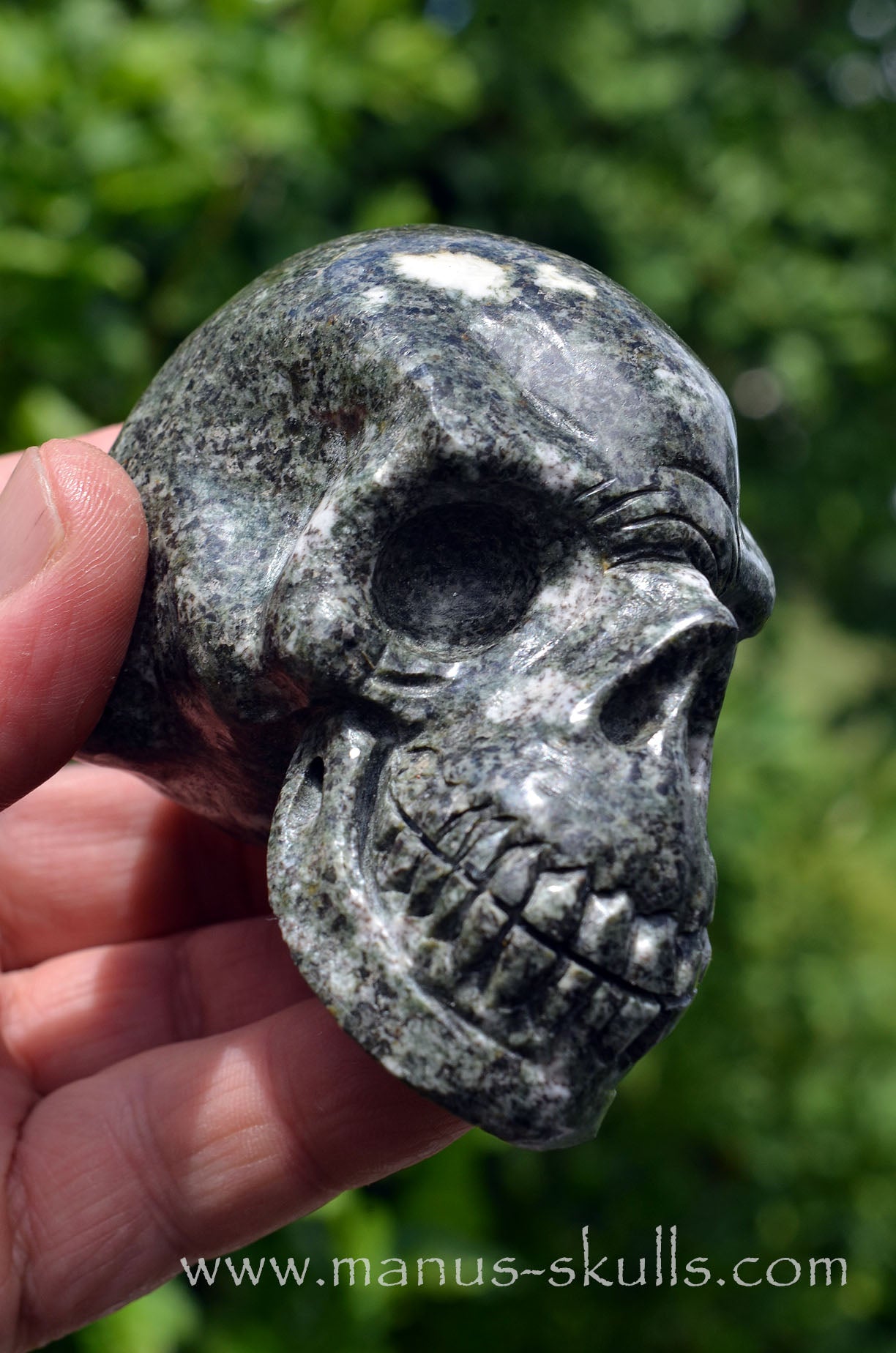 Preseli Bluestone Skull