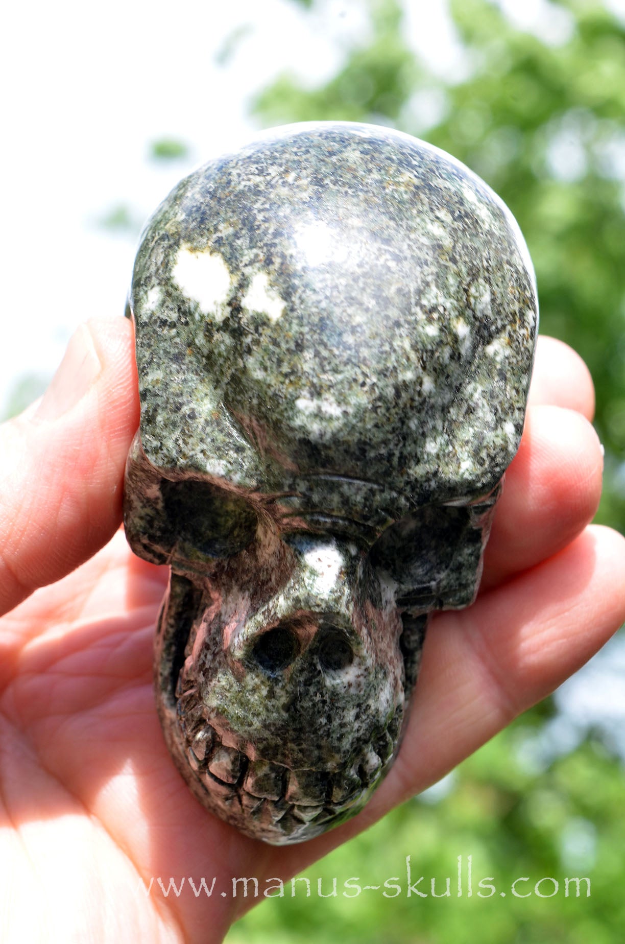 Preseli Bluestone Skull