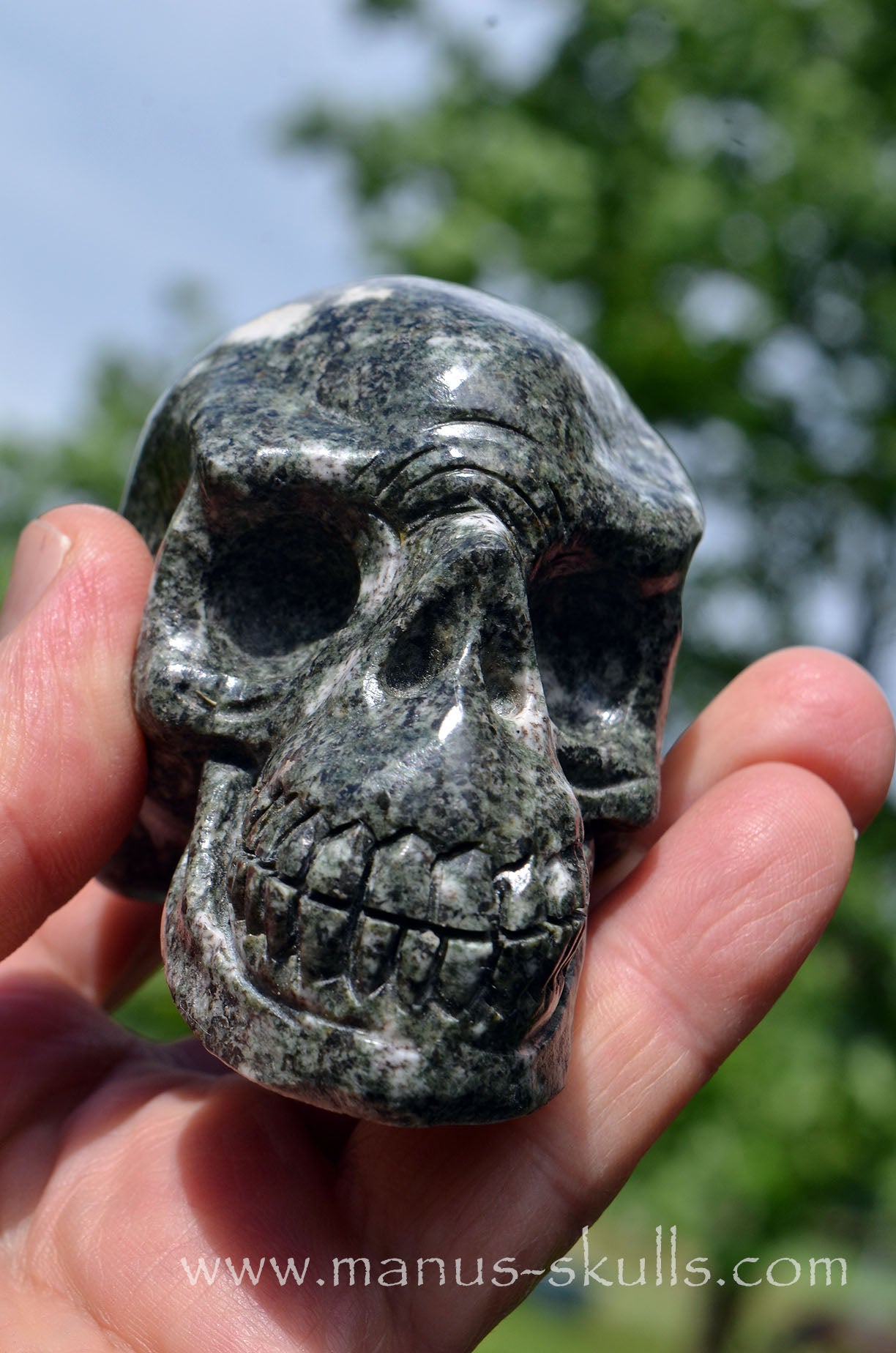 Preseli Bluestone Skull