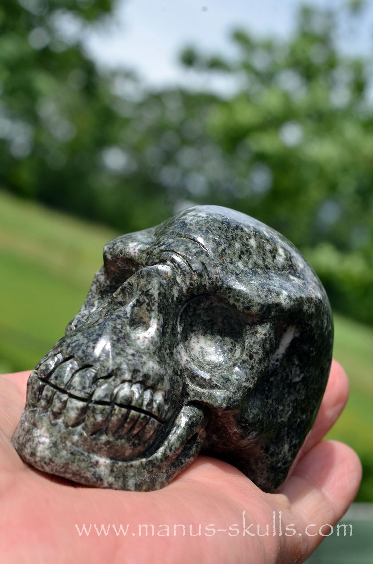 Preseli Bluestone Skull